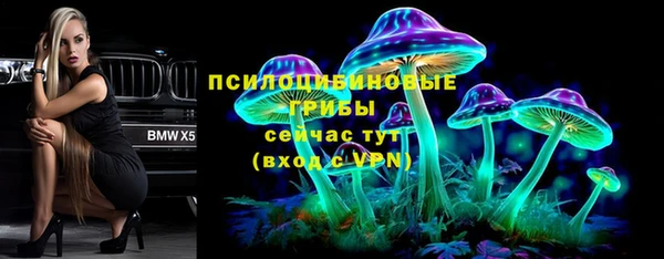 Альфа ПВП Баксан