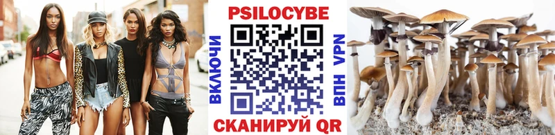 Псилоцибиновые грибы ЛСД  Купить закладки  Козельск 